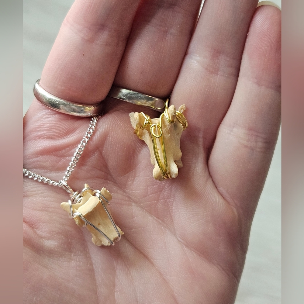 Handcrafted Vertabre Necklace